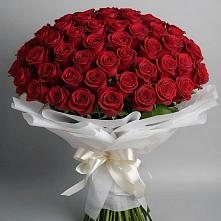 Букет 101 Красная роза Блэк Мэджик в Дегтярске