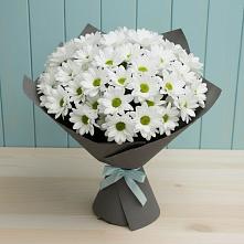 Букет цветов из:  Хризантемы в Дегтярске