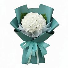 Букет цветов из:  Гортензия в Дегтярске